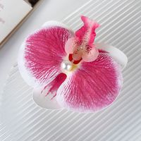 Women's Simple Style Solid Color Flower Resin Hair Clip sku image 2