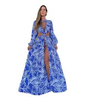 Women's Swing Dress Vacation Round Neck Long Sleeve Color Block Maxi Long Dress Outdoor Daily Beach main image 2