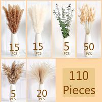 Pastoral Simple Style Solid Color Dried Flower Artificial Flowers sku image 3
