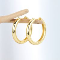 1 Pair Simple Style Commute Round Plating Sterling Silver White Gold Plated Gold Plated Earrings main image 10