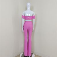 Daily Women's Elegant Solid Color Spandex Polyester Pants Sets Pants Sets main image 5
