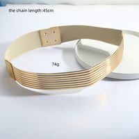 Vintage Style Simple Style Commute Rectangle Pu Leather Metal Women's Chain Belts main image 2