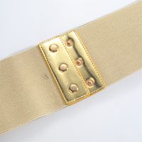 Vintage Style Simple Style Commute Rectangle Pu Leather Metal Chain Women's Chain Belts main image 6
