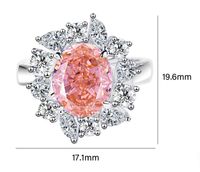 Sterling Silber Einfacher Stil Klassischer Stil Geometrisch Inlay Diamant Mit Hohem Kohlenstoffgehalt Ringe main image 2