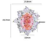 Sterling Silber Einfacher Stil Klassischer Stil Wassertropfen Inlay Diamant Mit Hohem Kohlenstoffgehalt Ringe main image 2