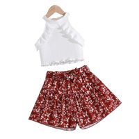 Simple Style Solid Color Flower Polyester Girls Clothing Sets main image 2