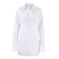 Women's Regular Dress Simple Style Shirt Collar Long Sleeve Solid Color Above Knee Daily main image 2