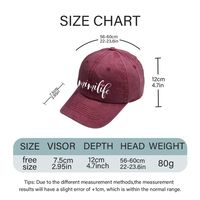 Children Unisex Embroidery Vintage Style Simple Style Letter Embroidery Curved Eaves Baseball Cap main image 2