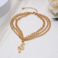 Casual Simple Style Snake Alloy Women's Anklet 1 Piece main image 5