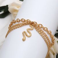 Casual Simple Style Snake Alloy Women's Anklet 1 Piece main image 4