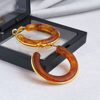 Retro Color Block Resin Copper Plating Women's Earrings 1 Pair main image 5