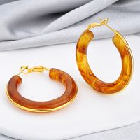 Retro Color Block Resin Copper Plating Women's Earrings 1 Pair main image 1