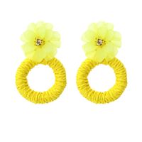 Casual Simple Style Flower Raffia Resin Women's Drop Earrings 1 Pair main image 3