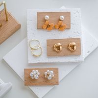 Elegant Nordic Style Simple Style Irregular Arylic Solid Wood Transparent Jewelry Rack 1 Piece main image 3