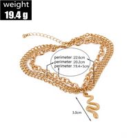 Casual Simple Style Snake Alloy Women's Anklet 1 Piece main image 2