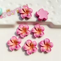 10 Pièces/Paquet 19*19mm Résine Fleur DIY Accessoires sku image 2