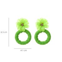 Casual Simple Style Flower Raffia Resin Women's Drop Earrings 1 Pair main image 2