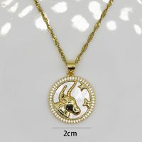 Wholesale Modern Style Simple Style Classic Style Constellation Copper Pendant Necklace main image 2