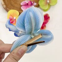 Women's Casual Cute Tropical Flower Plastic Hair Clip main image 4