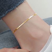 Casual Elegant Solid Color Stainless Steel Women's Anklet main image 4