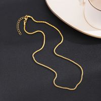 304 Stainless Steel Casual Modern Style Solid Color Necklace main image 4