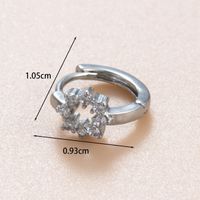 1 Piece Casual French Style Korean Style Leaves Water Droplets Flower Hollow Out Inlay Copper Zircon Ear Studs main image 5