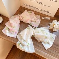 Women's Simple Style Classic Style Bow Knot Cloth Braid Hair Clip main image 4