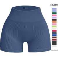 Estilo Simple Color Sólido Nylon Fondos Activos Pantalones Ajustados Pantalones Deportivos main image 1