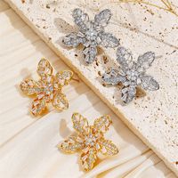 1 Paire Luxueux Flocon De Neige Placage Incruster Le Cuivre Zircon Plaqué Or 18K Boucles D'Oreilles main image 1