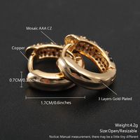 1 Pair Elegant Vintage Style Luxurious Leopard Plating Inlay Copper Zircon 18K Gold Plated Earrings main image 2