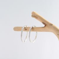 1 Paar Einfacher Stil Einfarbig Überzug Sterling Silber Vergoldet Ohrringe main image 9