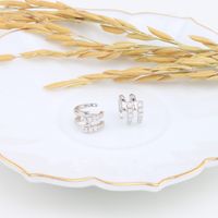 1 Pair Simple Style Classic Style Solid Color Inlay Sterling Silver Zircon Earrings main image 7