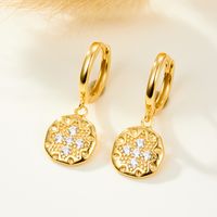1 Pair Casual Tropical Round Inlay Sterling Silver Zircon White Gold Plated Gold Plated Drop Earrings main image 4