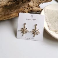 1 Paire Exagéré Style Simple Flocon De Neige Placage Incruster Le Cuivre Perle Plaqué Or 18K Boucles D'oreilles main image 9