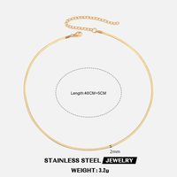 304 Stainless Steel 18K Gold Plated Basic Plating Geometric Necklace sku image 9