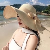 Women's Vacation Sweet Solid Color Big Eaves Sun Hat main image 3