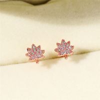 1 Pair Simple Style Shiny Maple Leaf Inlay Copper Zircon Ear Studs main image 4
