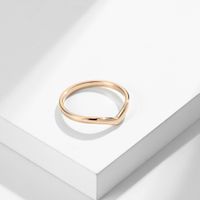 304 Stainless Steel Basic Simple Style Classic Style Peach Rings main image 6