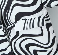 Frau Lange Ärmel Blazer Tasche Strassenmode Zebra main image 3