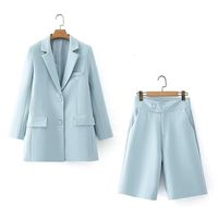 Business Daily Formal Women's Simple Style Solid Color Polyester Pleated Pants Sets Pants Sets main image 1