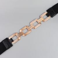 Baroque Style Simple Style Classic Style Geometric Alloy PU Artificial Leather Women's Chain Belts main image 5
