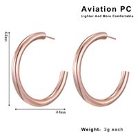 1 Pair IG Style Elegant Modern Style Circle Aviation Pc 18K Gold Plated Hoop Earrings sku image 4