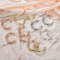1 Pair Fairy Style Casual Elegant Circle Aviation Pc 18K Gold Plated Hoop Earrings main image 6