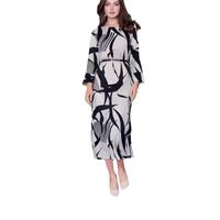 Women's Regular Dress Simple Style Round Neck Printing Zipper Long Sleeve Multicolor Maxi Long Dress Travel main image 4