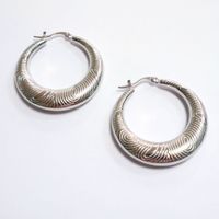 1 Pair Exaggerated Swirl Pattern Plating Stainless Steel 18K Gold Plated Earrings sku image 1
