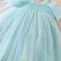 Princess Mesh Grid Sequins Popover Hollow Out Chiffon Girls Dresses main image 6
