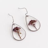 Elegant Simple Style Flower 304 Stainless Steel Resin Women's Drop Earrings 6 Pairs sku image 15