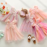 Princess Colorful Nylon Girls Dresses main image 2
