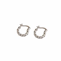 1 Pair Casual Simple Style Twist Plating 304 Stainless Steel 18K Gold Plated Earrings main image 8