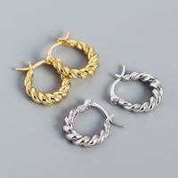 1 Pair Casual Simple Style Twist Plating 304 Stainless Steel 18K Gold Plated Earrings main image 7